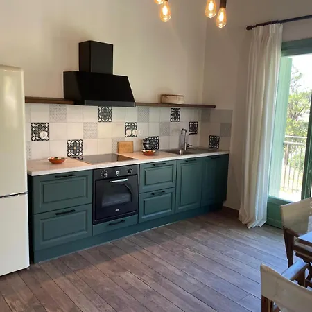 Beachfront Apartment, Center Village, 20m - Near Myrtos - Fiskardo *